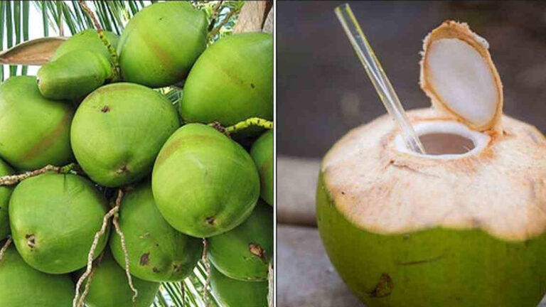 Tender coconut